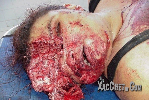 shockvn.xtgem.com10